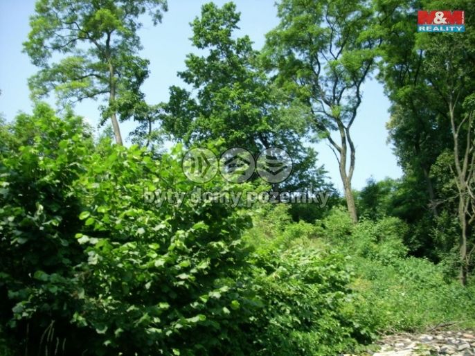 Prodej, Les, Vysoké Mýto