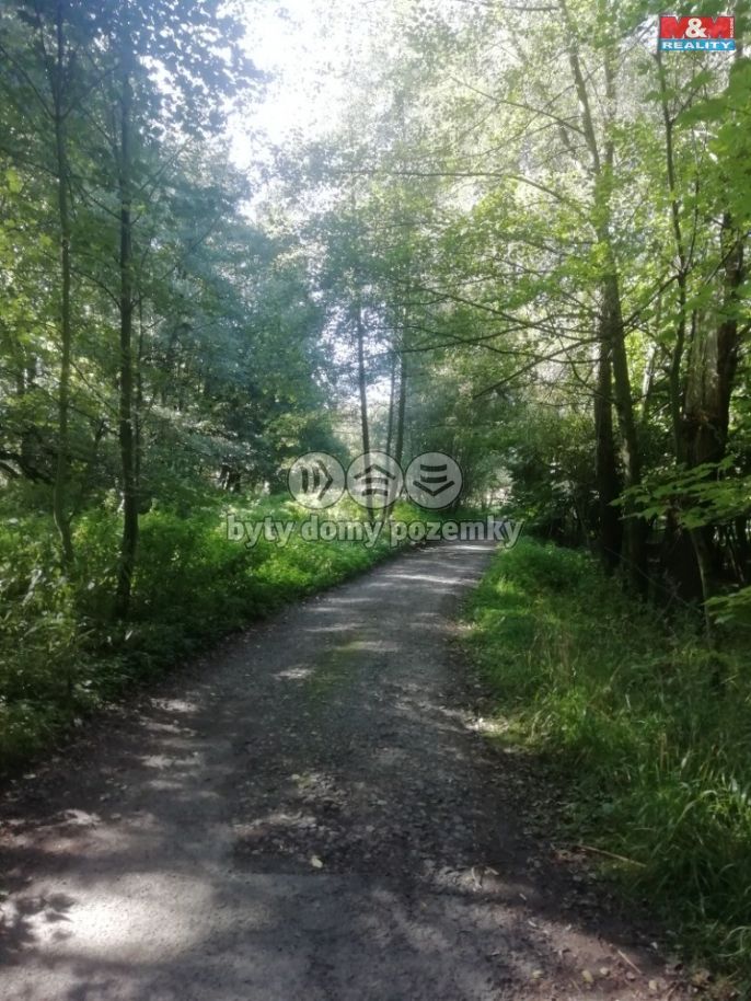 Prodej, Provozní plocha, Dětmarovice