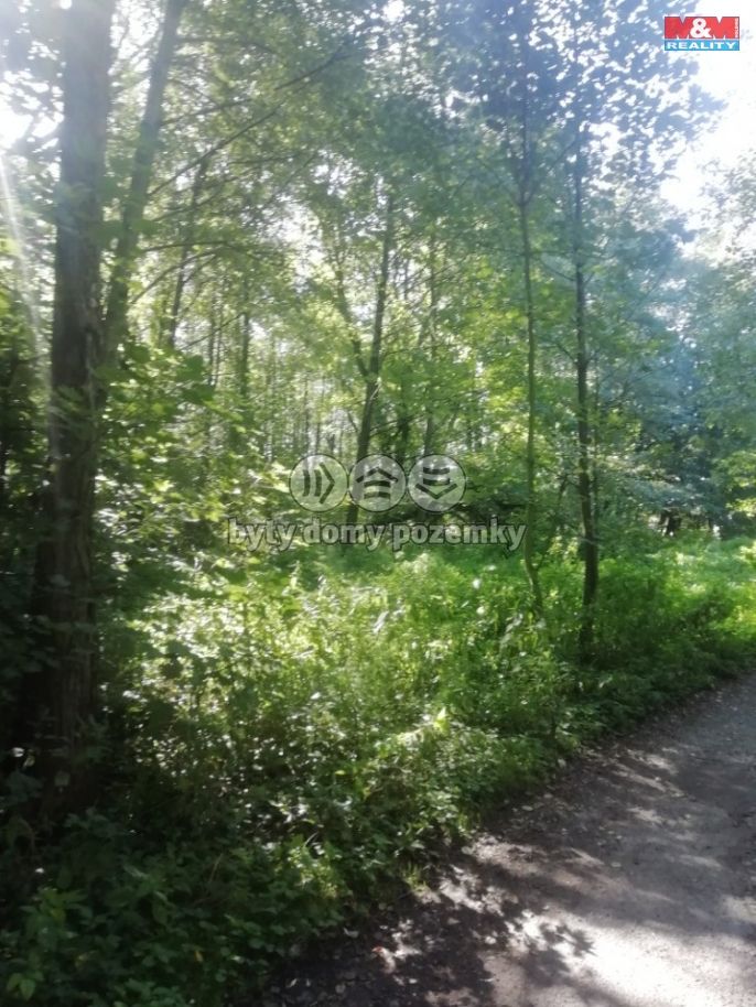 Prodej, Provozní plocha, Dětmarovice