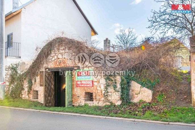 Prodej, Vinice, Bavory