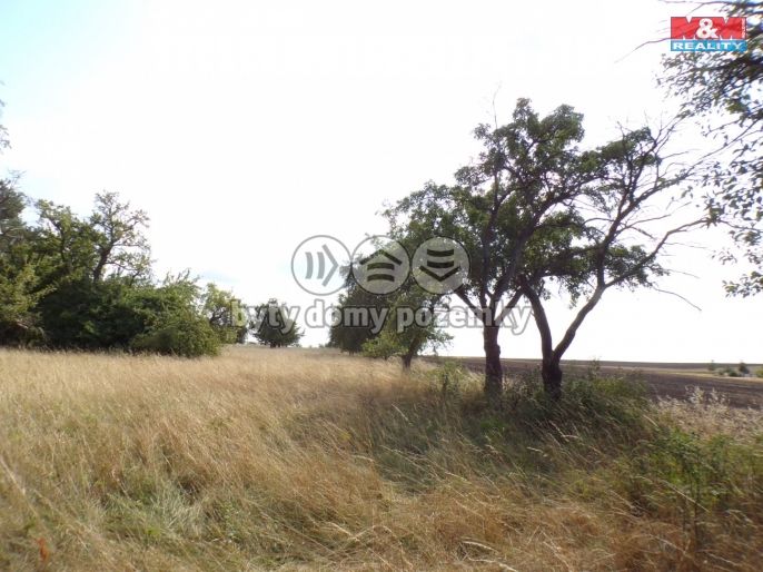 Prodej, Zahrada, Hrochův Týnec