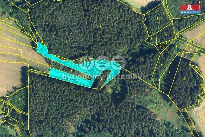 Prodej, Les, Dědová