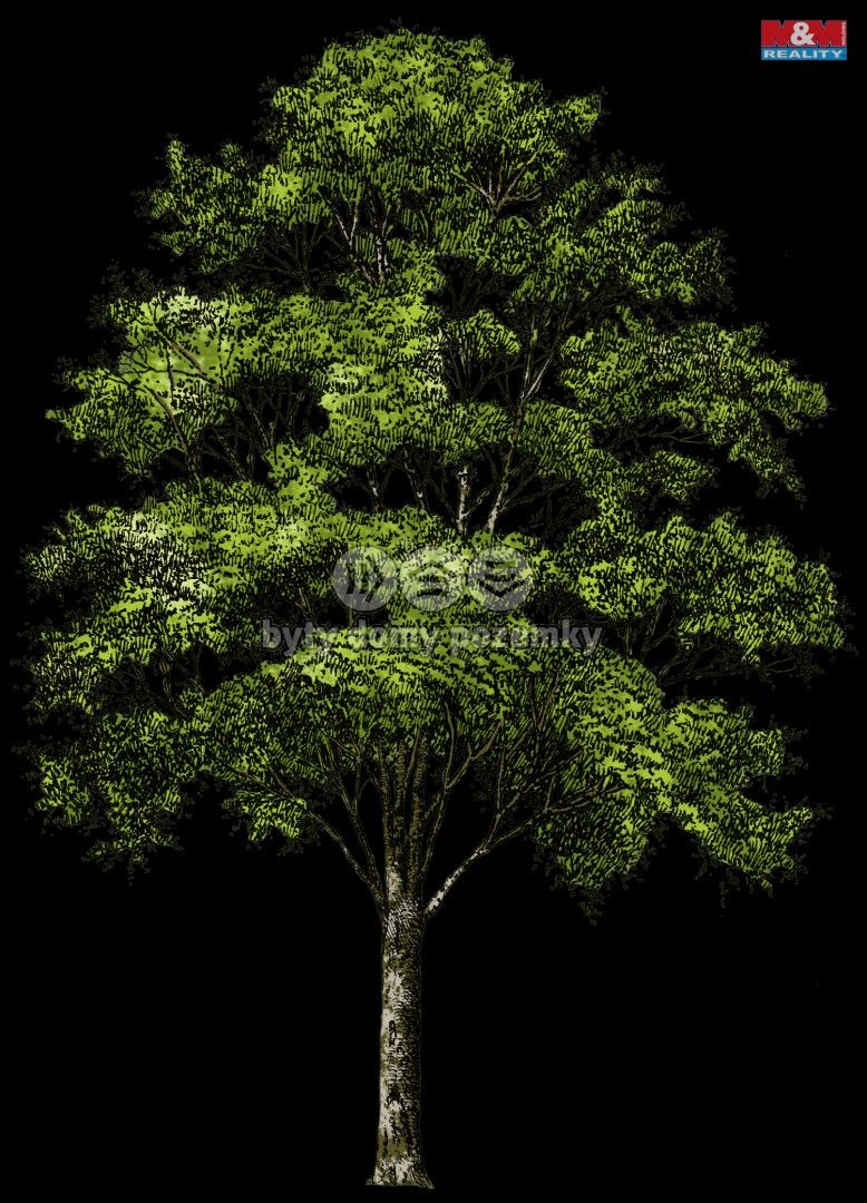tree.png