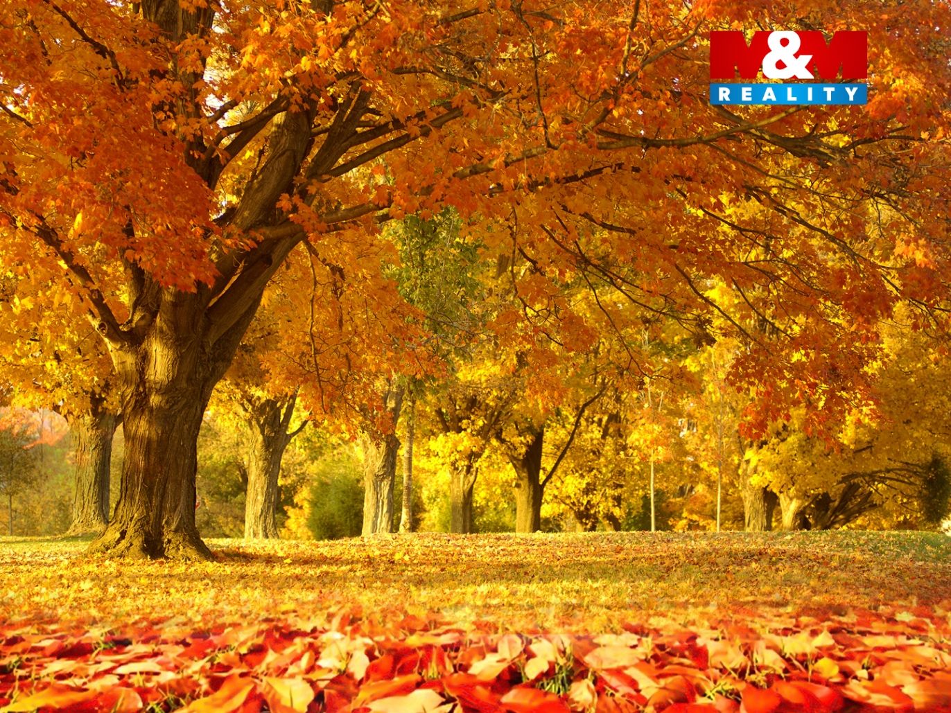 Sample-png-image-5mb.png