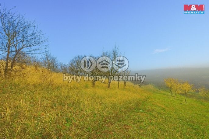 Prodej, Vinice, Bukovany