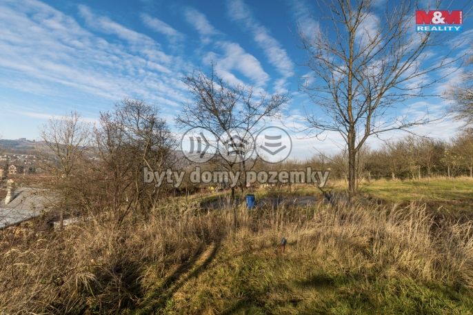 Prodej, Zahrada, Jablůnka