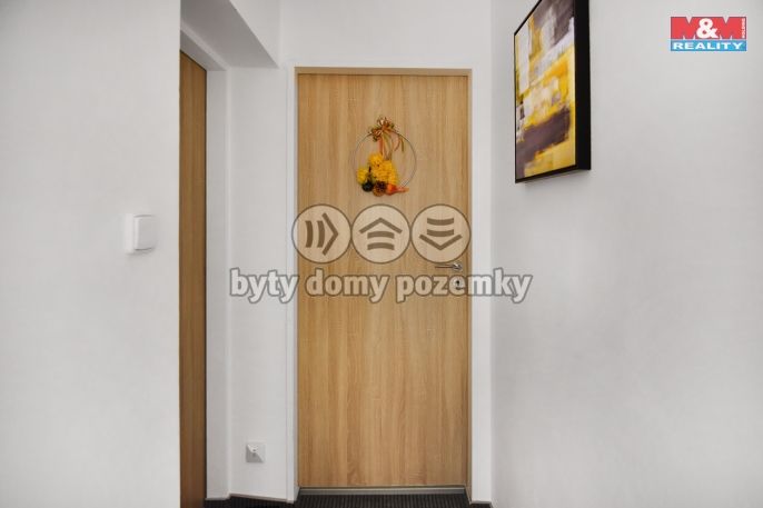 Pronájem, Byt 1+kk, Plazy