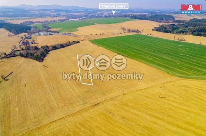 Prodej, Zemědělská usedlost, Trhové Sviny