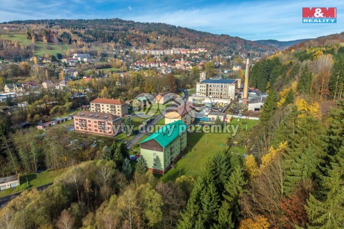 Prodej, Byt 3+1, Velké Hamry