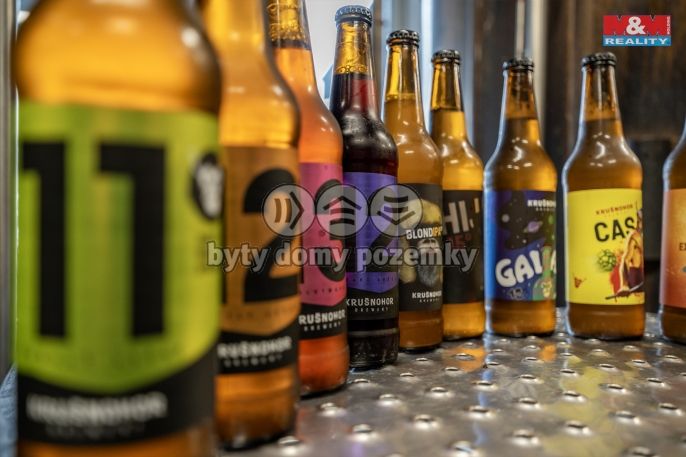 Prodej, Obchodní objekt, Kraslice