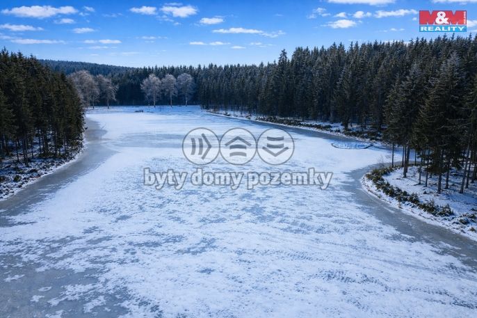 Prodej, Vodní plocha, Nová Bystřice