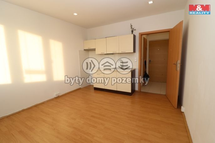 Pronájem, Byt 1+kk, Ostrov