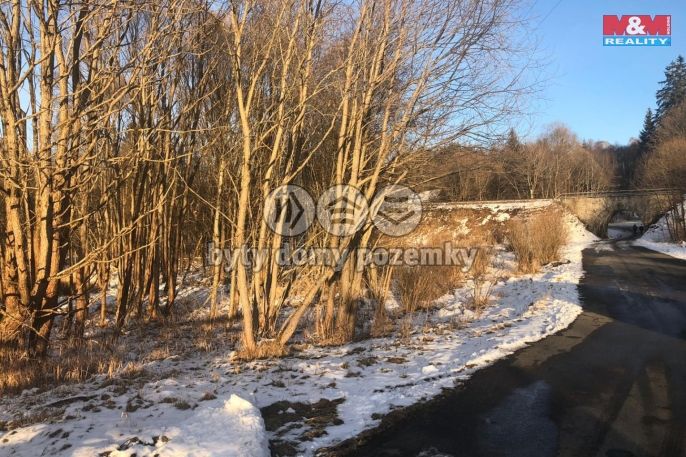 Prodej, Vodní plocha, Železná Ruda