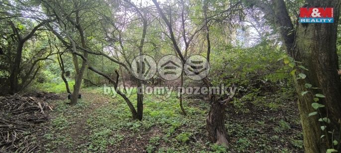Prodej, Zahrada, Obrnice