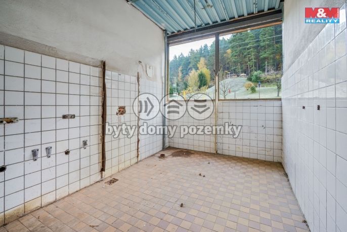 Prodej, Hotel, penzion, Havlovice