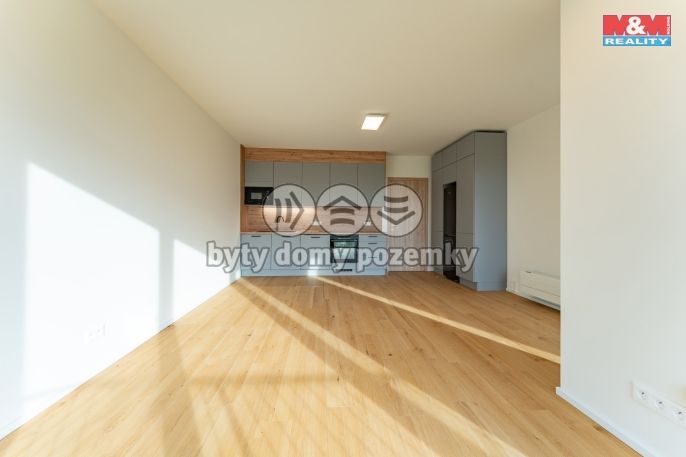 Pronájem, Byt 1+kk, Brandýs nad Labem-Stará Boleslav