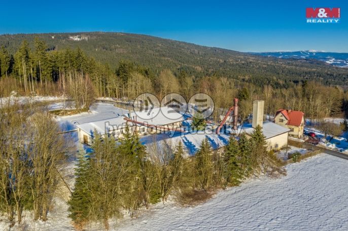 Prodej, Výrobní objekt, Pěnčín