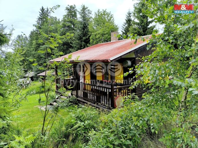 Prodej, Hotel, penzion, Pojbuky