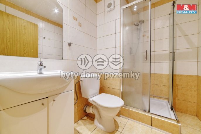 Pronájem, Byt 1+1, Velká Hleďsebe