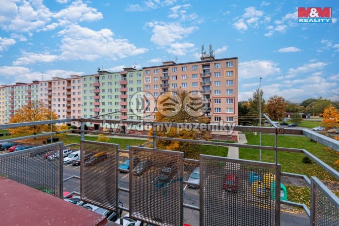 Prodej, Byt 2+1, Ostrov