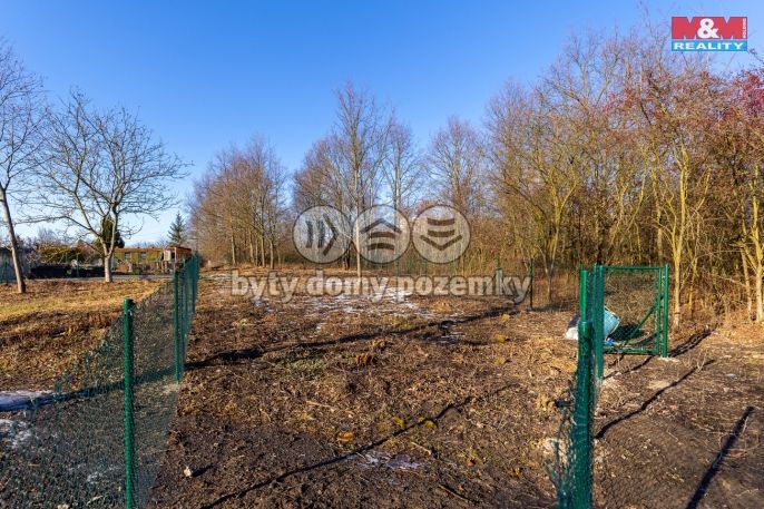 Prodej, Zahrada, Pardubice