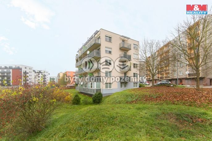 Pronájem, Byt 2+kk, Plzeň