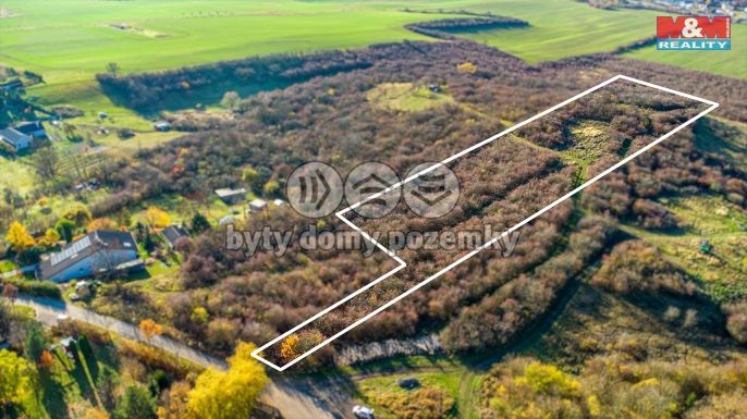 Prodej, Ostatní, Nepřevázka