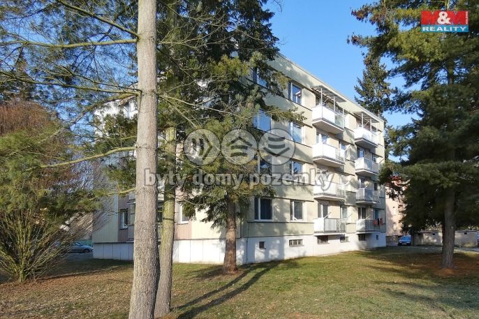 Pronájem, Byt 1+kk, Přelouč