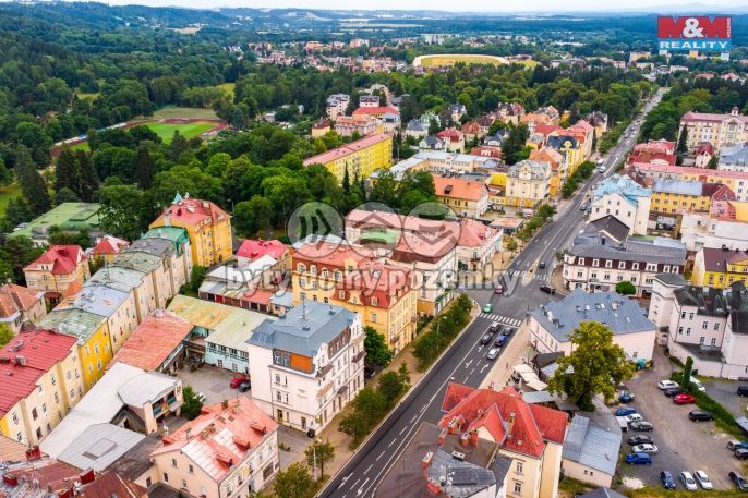 Prodej, Byt 1+1, Mariánské Lázně