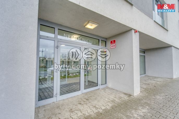 Pronájem, Byt 3+kk, Plzeň