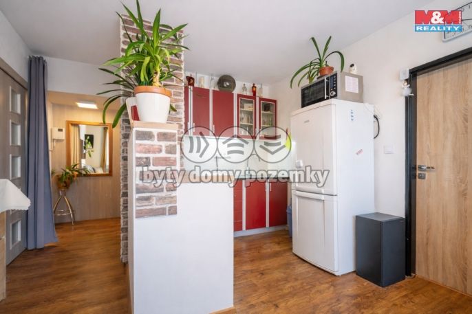 Prodej, Byt 1+1, Zliv