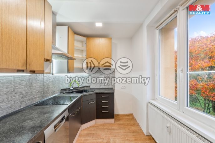 Pronájem, Byt 3+1, Teplice