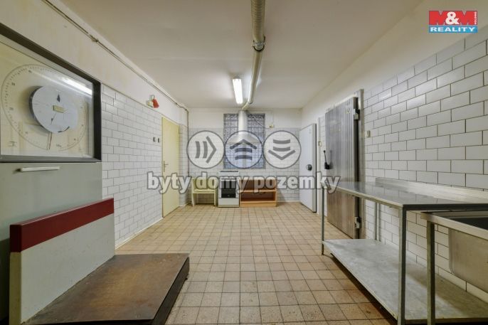 Pronájem, Obchod a služby, Planá