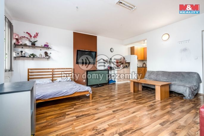 Prodej, Byt 1+kk, Praha