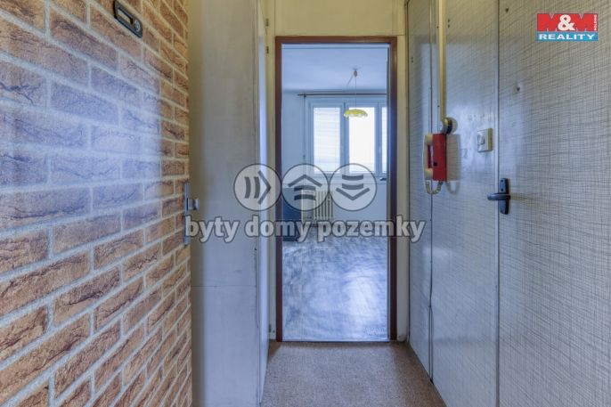 Pronájem, Byt 1+1, Plzeň