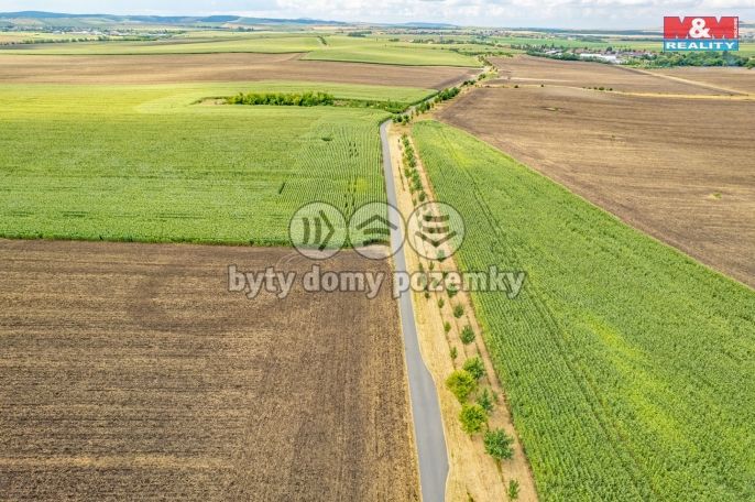 Prodej, Pole, Žatčany