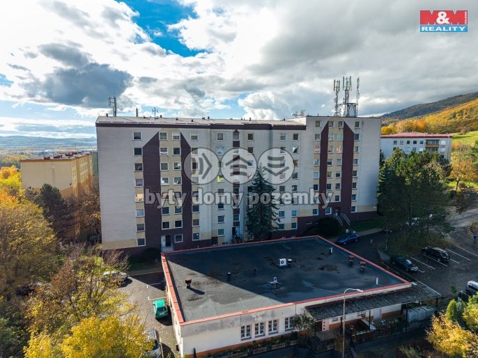 Prodej, Byt 1+kk, Chlumec