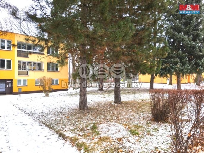 Pronájem, Byt 1+1, Havířov