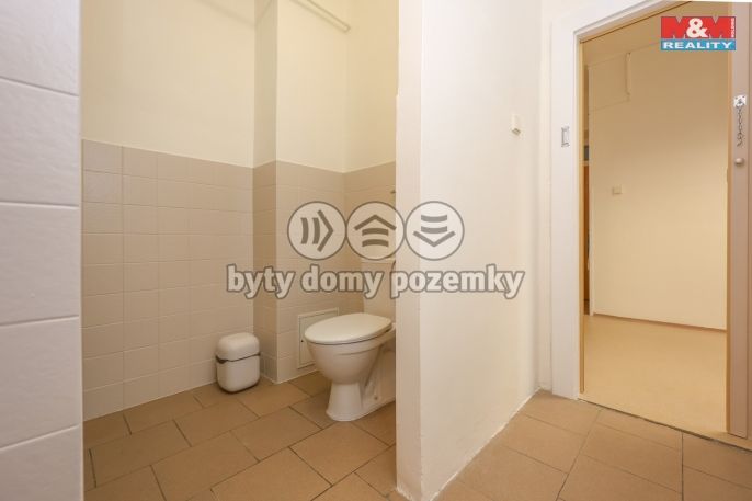 Pronájem, Ostatní, Prostějov