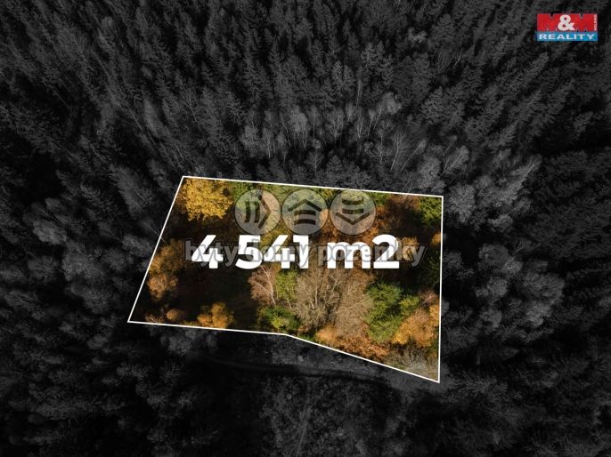 Prodej, Pastvina, Milíkov