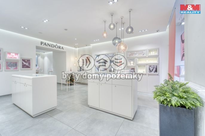 Pronájem, Obchod a služby, Plzeň