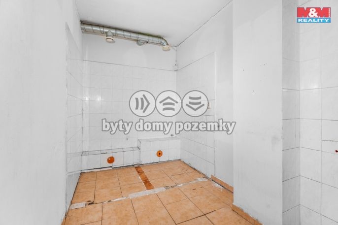 Prodej, Nájemní dům, Mladá Boleslav