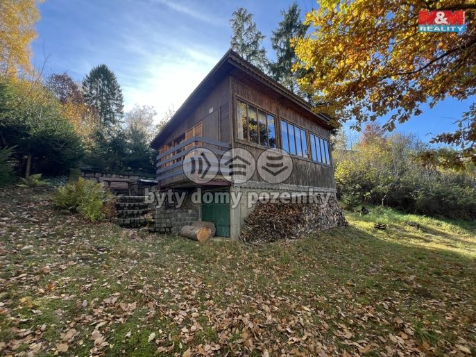 Pronájem, Chata, Střížovice