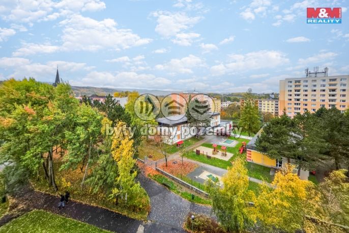 Prodej, Byt 1+1, Karlovy Vary