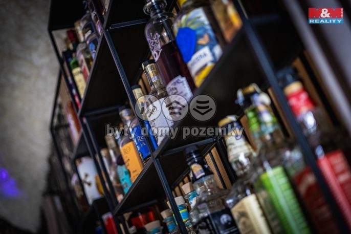 Pronájem, Restaurace, stravování, Benešov