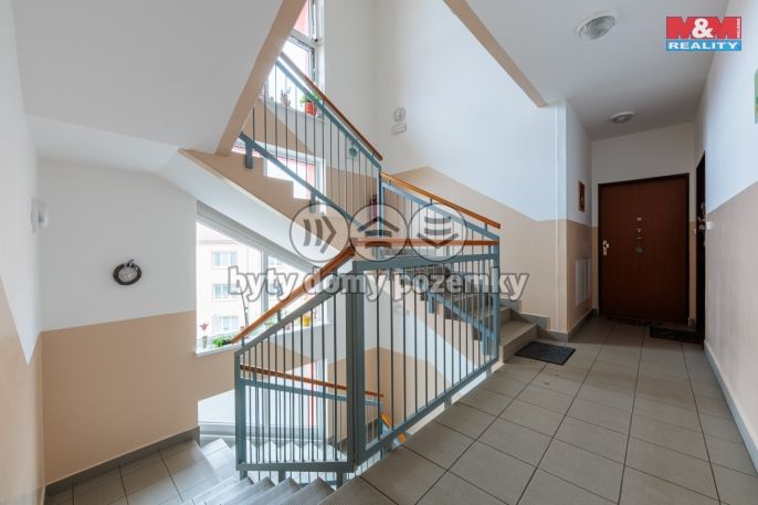 Pronájem, Byt 3+kk, Březová