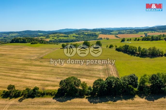 Prodej, Pole, Volyně