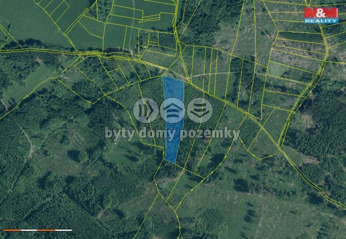 Prodej, Les, Kolinec