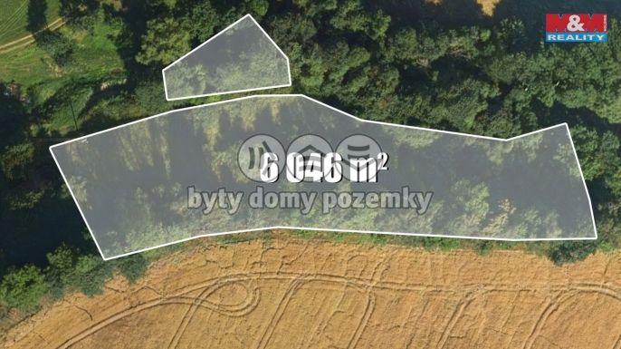 Prodej, Louka, Bílá