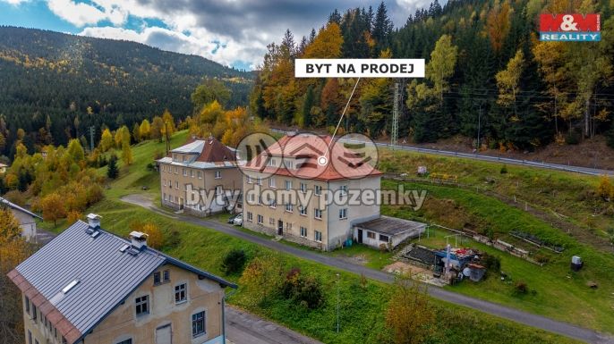 Prodej, Byt 2+kk, Kořenov
